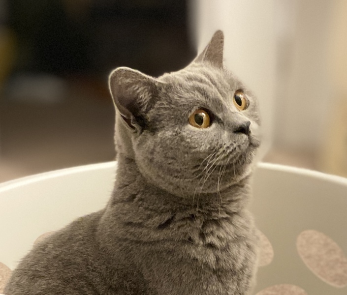 Thread 1 - Lifeboat Muster Point for TalkExiles