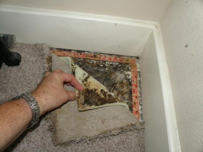 AIBU to expect the tenants to turn the heating up?