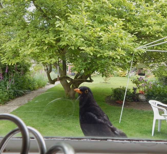 Thread 1 - Lifeboat Muster Point for TalkExiles