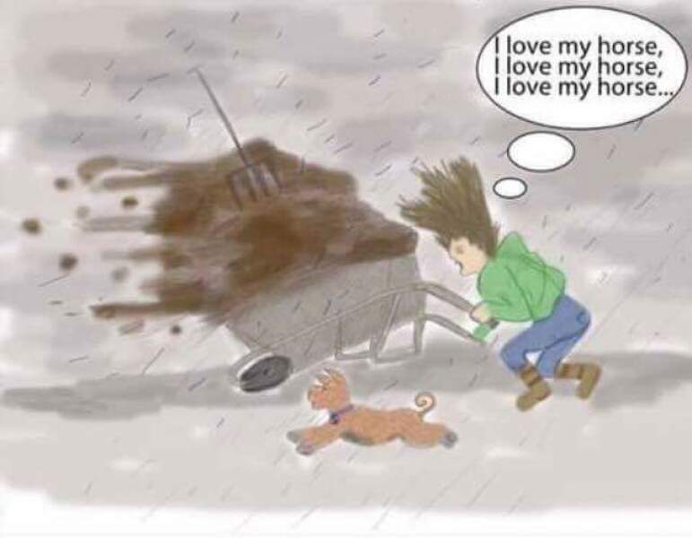 To feel sorry for people with horses?