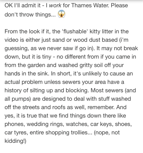 How to own a cat without the house smelling like a litter tray?