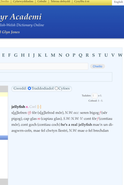 Mermaids vs LGB Alliance and Charity Commissioner - First-tier Tribunal (General Regulatory Chamber) Thread 4