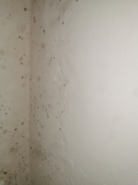 Just found mould (see photo). My responsibility to fix?
