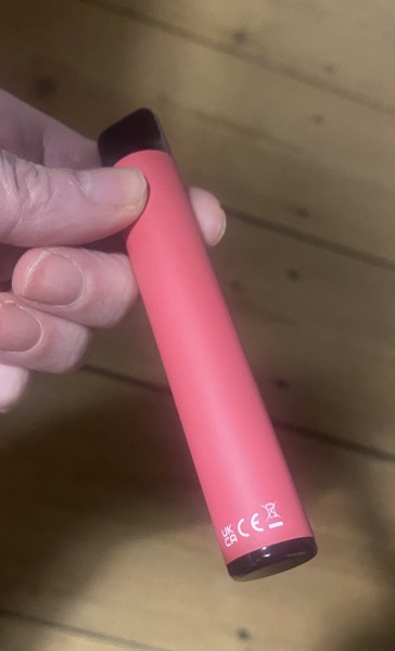 I think I found a mini vibrator in my car