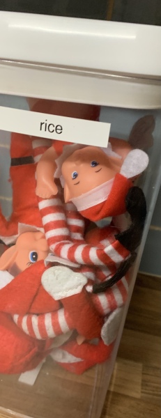 Should I start this Elf thing