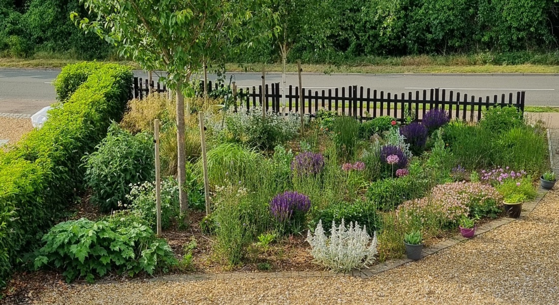 North facing garden