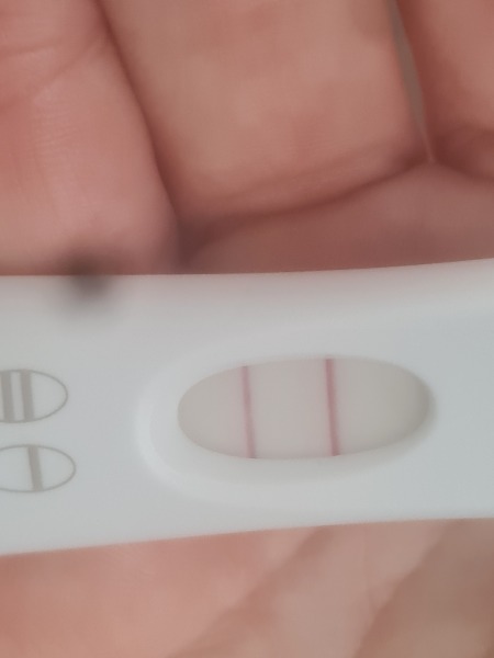 ICSI - embryo transfer complete!