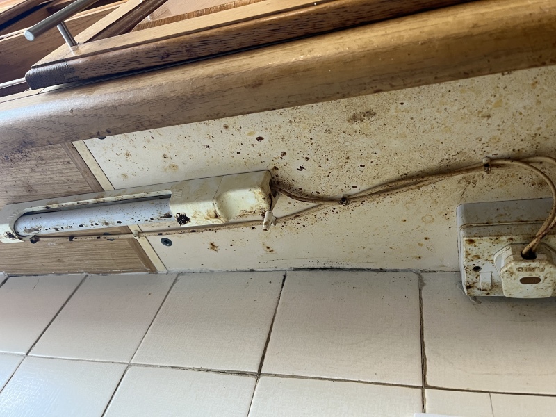 What “surprises” awaited you after moving in?