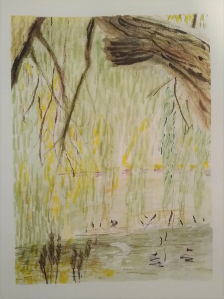 Thread 43 - GCSE Covid Cohort ..November 22 Remember Remember 