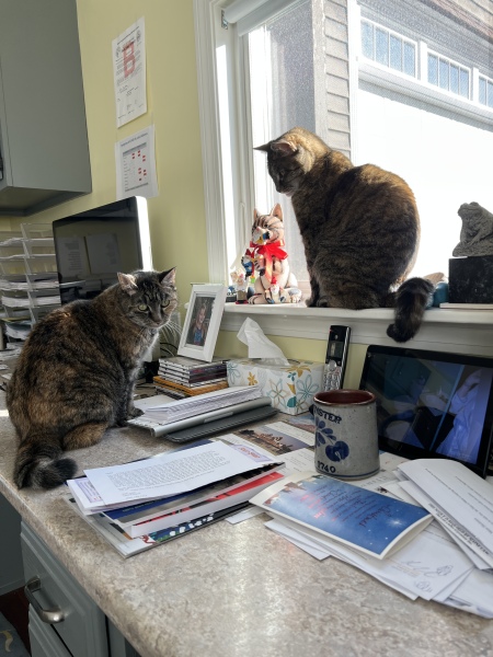 Thread 1 - Lifeboat Muster Point for TalkExiles