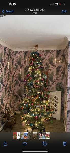 when does everybody pit theyre christmas decorations 