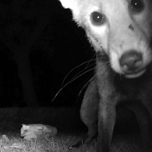 Thread 1 - Lifeboat Muster Point for TalkExiles