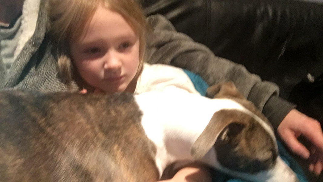Anyone up for a 'My Dog POV' thread?