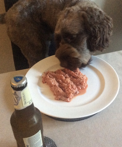 Do you let your dog lick the dishes?