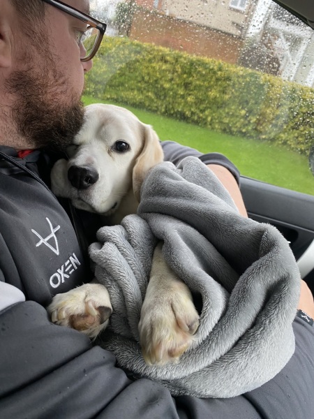 Update on prev thread about my dog in heart failure. Not good news.