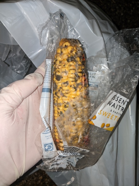 Black mould on corn on the cob - worried