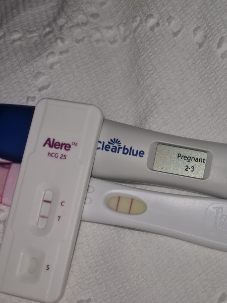 IVF - Stims Aug - Egg Collection Sep