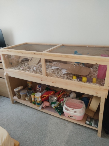 Best gerbil cage - advice please do I need to upgrade? 