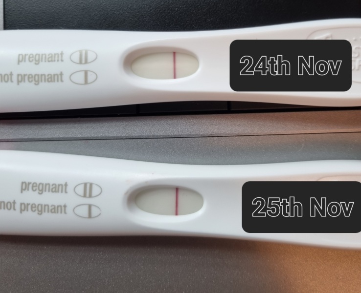 Looking for TWW buddies....