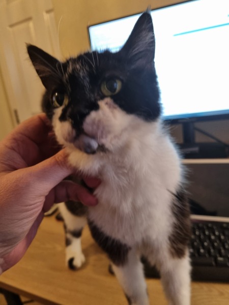 Thread 1 - Lifeboat Muster Point for TalkExiles