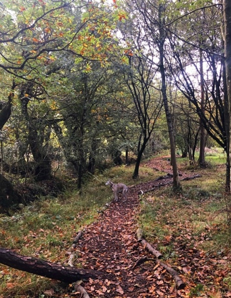 Show me your autumn pics :-)