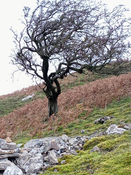 Come chat hiking with me!