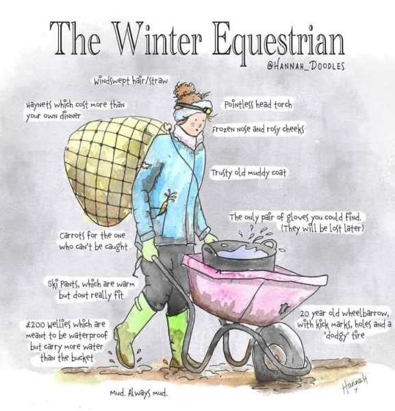 To feel sorry for people with horses?