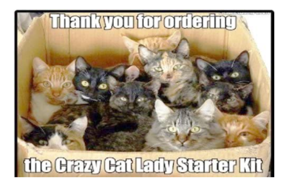 Help? I've acquired a very young kitten?