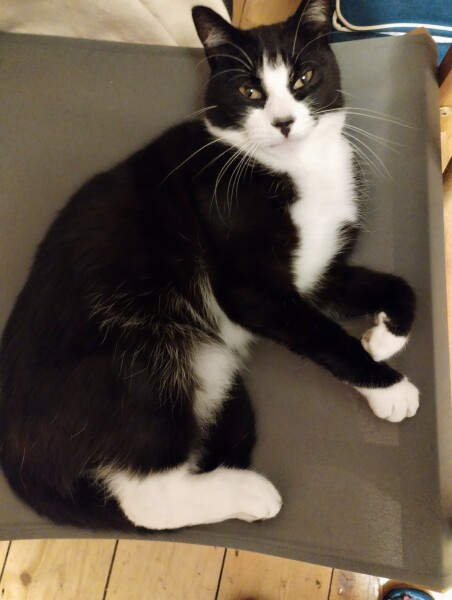 Thread 1 - Lifeboat Muster Point for TalkExiles