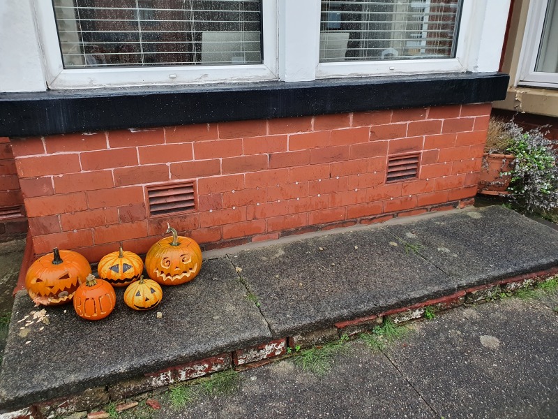 Wet patches bay window - help :)