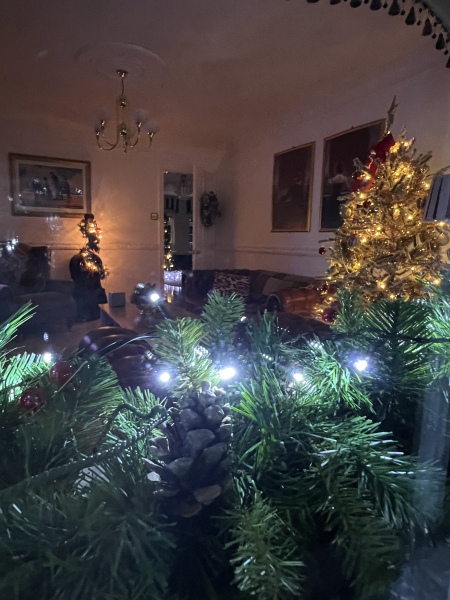 Non judgemental Christmas Decorations thread. 