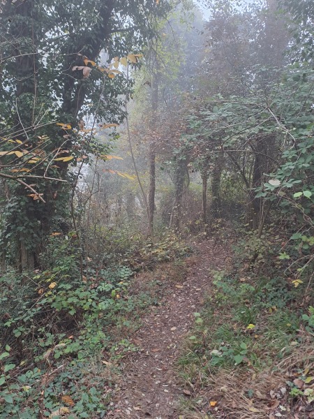 Come chat hiking with me!