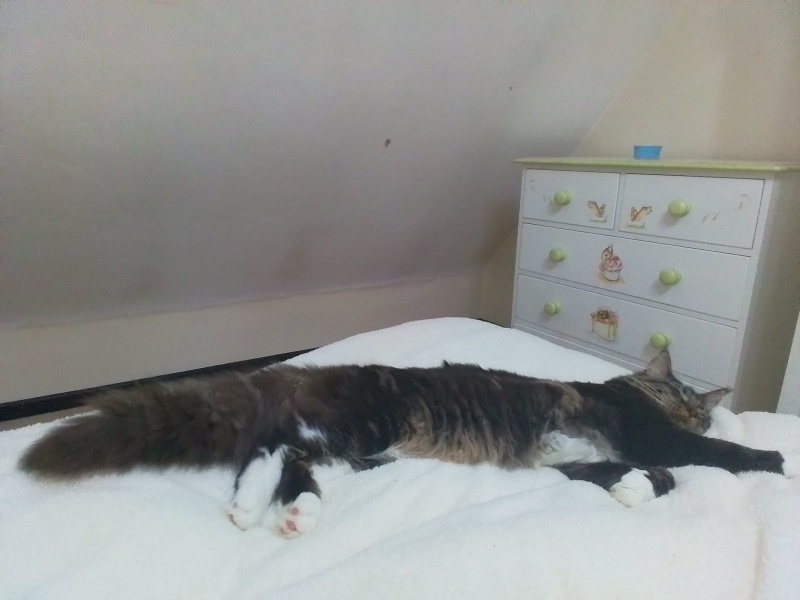 Come and tell me your dull and unexciting news 24: Calmly through the day 