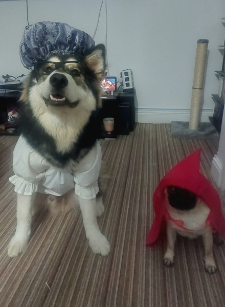 If you have a bigger dog and a smaller dog...