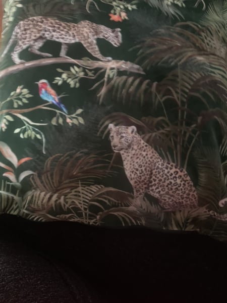 Help! Ways to improve green sofa!