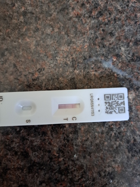Covid Test