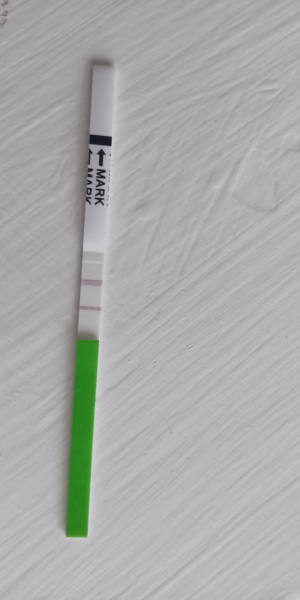 Positive Opk after frozen embryo transfer 