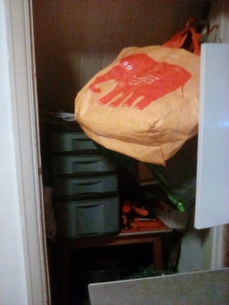 Can I see under your stairs?