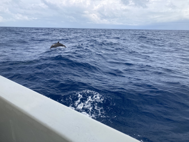 Cancer Support Thread 84 - gently crunching our way into autumn