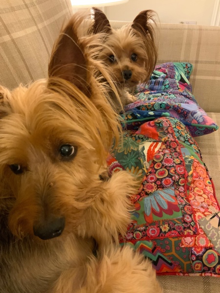 Thread 1 - Lifeboat Muster Point for TalkExiles