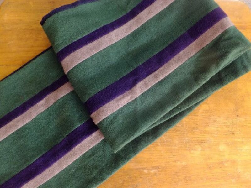 Scottish Government don't allow suffragette colours at Stage 2 GRA meeting