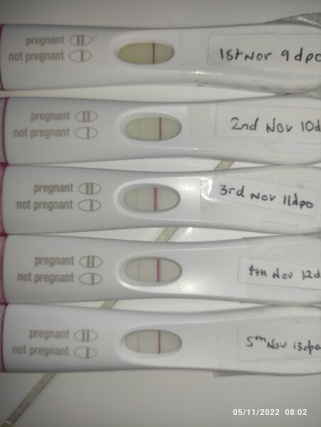 Support for Women who are TTC or Pregnant Following a Termination for Abnormalities- Thread 8