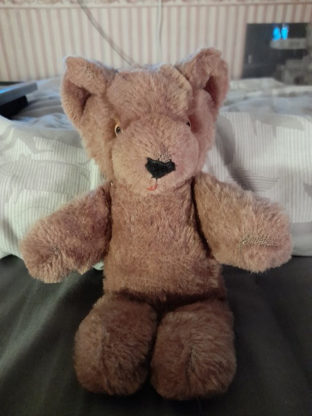 Anyone still have their childhood teddy?
