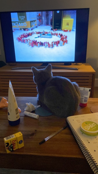 Thread 1 - Lifeboat Muster Point for TalkExiles