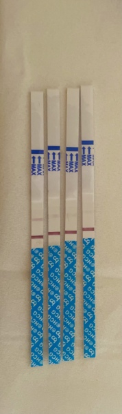 Pregnancy tests unclear