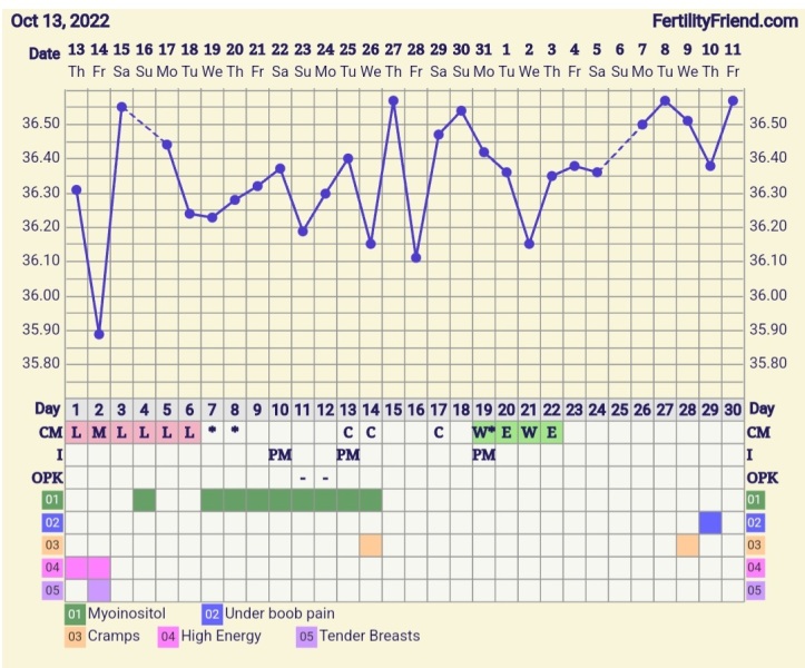 BBT Chart help needed.