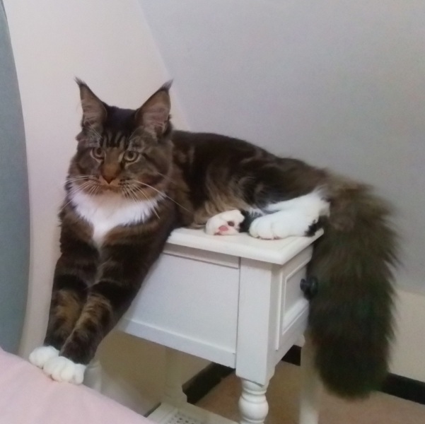 Come and tell me your dull and unexciting news 24: Calmly through the day 