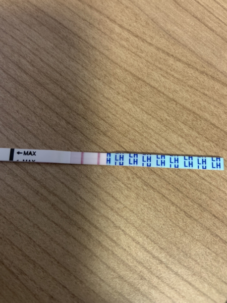 What time do you test for ovulation?