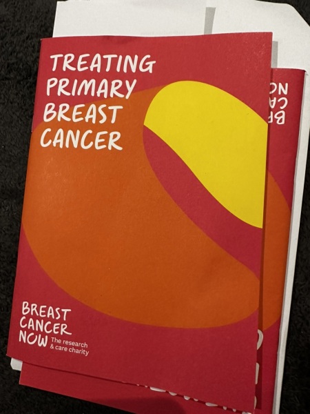 Check Yourself. Breast cancer with 5 month old.