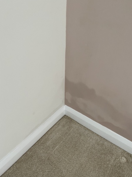 Damp in daughter's bedroom